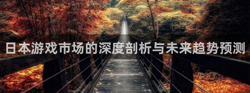 亿万28官网平台是骗局吗：日本游戏市场的深度剖析与未来趋势预测