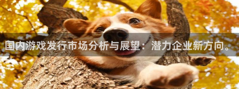 四川亿万28科技有限公司招聘：国内游戏发行市场分析与展望：潜力企业新方向。