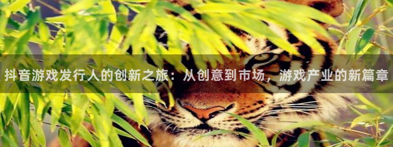 亿万28啤酒怎么样：抖音游戏发行人的创新之旅：从创意到市场，游戏产业的新篇章