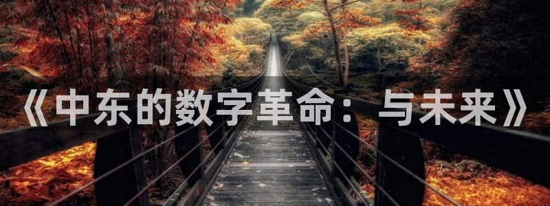 亿万28官网注册平台怎么注册不了：《中东的数字革命：与未来》