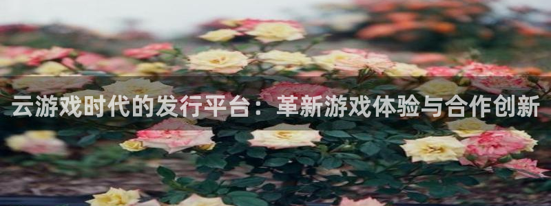 亿万28官网平台代理条件：云游戏时代的发行平台：革新游戏体验与合作创新