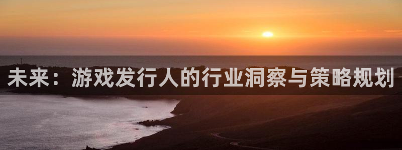 亿万28官网解绑银行卡怎么操作：未来：游戏发行人的行业洞察与策略规划