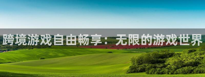 亿万28官网登录注册失败：跨境游戏自由畅享：无限的游戏世界