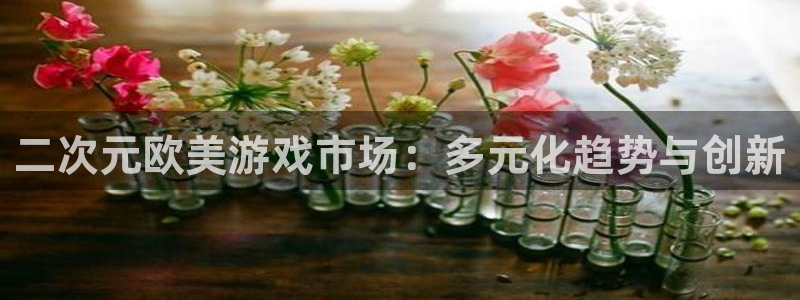 亿万28子公司怎么样可靠吗：二次元欧美游戏市场：多元化趋势与创新