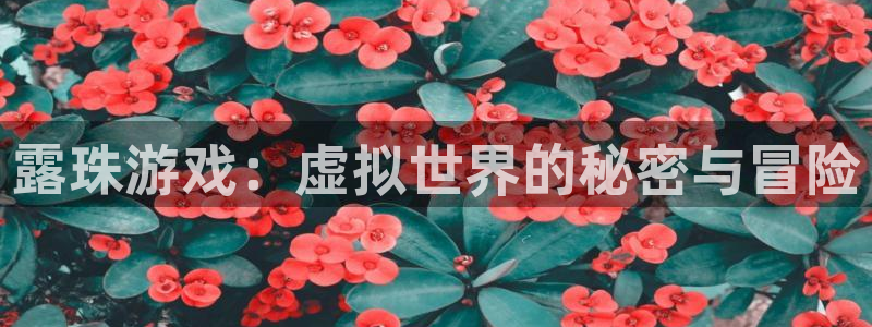 亿万28的寓意：露珠游戏：虚拟世界的秘密与冒险