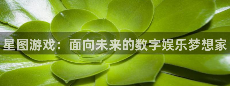 亿万28子经理人杂志：星图游戏：面向未来的数字娱乐梦想家