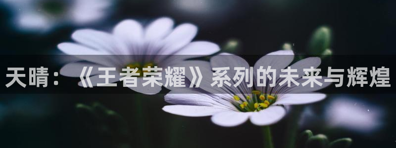 亿万28子文化创意有限公司特邀玩家：天晴：《王者荣耀》系列的未来与辉煌