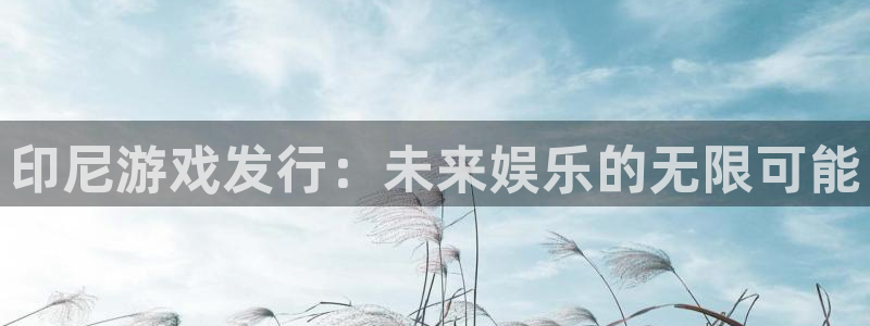四川亿万28科技有限公司招聘：印尼游戏发行：未来娱乐的无限可能