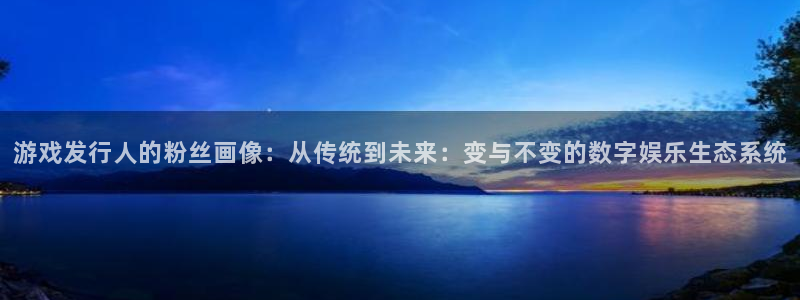 亿万28官网登录注册失败：游戏发行人的粉丝画像：从传统到未来：变与不变的数字娱乐生态系统