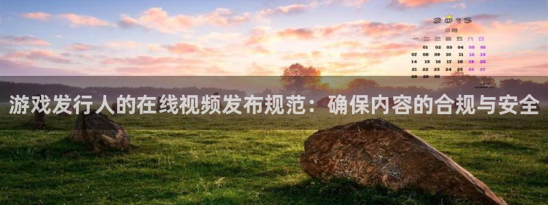 亿万28官网注册平台是什么公司：游戏发行人的在线视频发布规范：确保内容的合规与安全