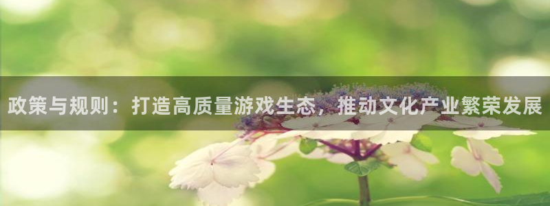 亿万28官网注册地址查询：政策与规则：打造高质量游戏生态，推动文化产业繁荣发展