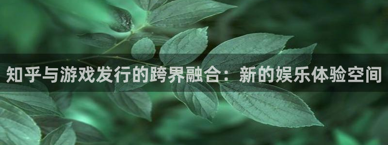 亿万28官网解绑银行卡怎么弄：知乎与游戏发行的跨界融合：新的娱乐体验空间