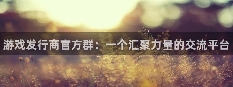 亿万28官网平台会黑款吗：游戏发行商官方群：一个汇聚力量的交流平台