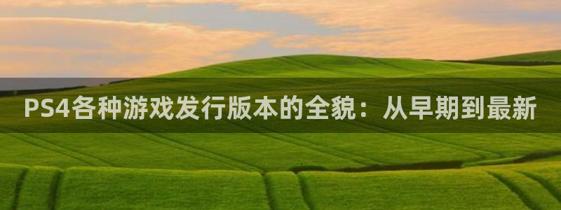 亿万28烟照片：PS4各种游戏发行版本的全貌：从早期到最新