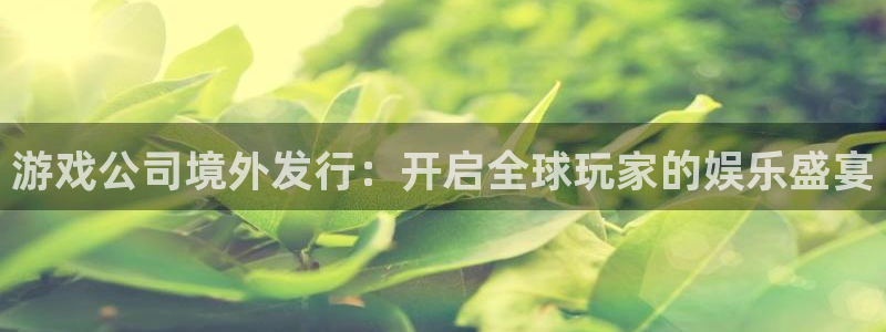 亿万28官网注册平台登录入口：游戏公司境外发行：开启全球玩家的娱乐盛宴
