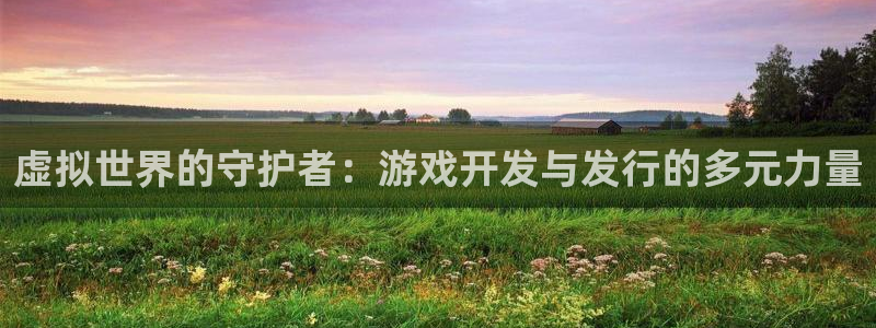 亿万28官网注册登录官网：虚拟世界的守护者：游戏开发与发行的多元力量