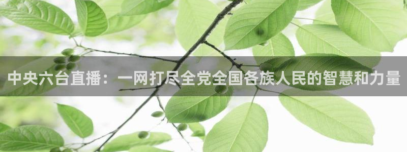 鲸鱼nba直播：中央六台直播：一网打尽全党全国各族人民的智慧和力量