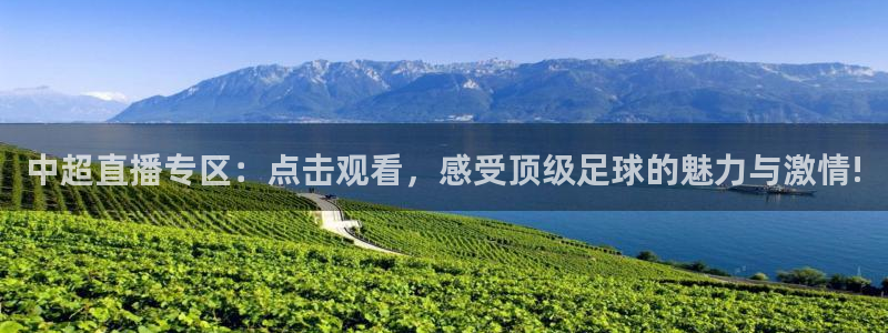 蓝鲸鱼直播app：中超直播专区：点击观看，感受顶级足球的魅力与激情!