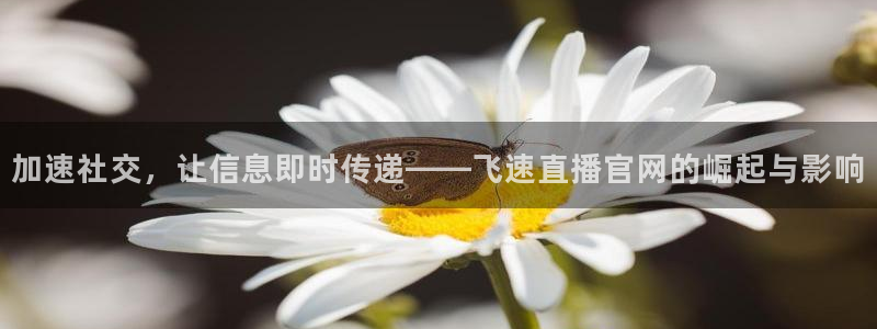 鲸鱼体育直播官网：加速社交，让信息即时传递——飞速直播官网的崛起与影响