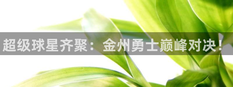 鲸鱼体育直播下载：超级球星齐聚：金州勇士巅峰对决！