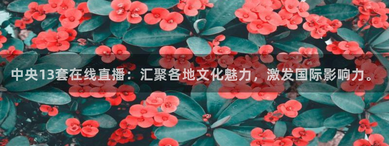 鲸鱼体育在线直播高清：中央13套在线直播：汇聚各地文化魅力，激发国际影响力。