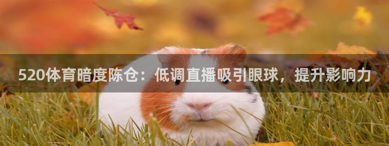 jytv鲸鱼体育直播：520体育暗度陈仓：低调直播吸引眼球，提升影响力