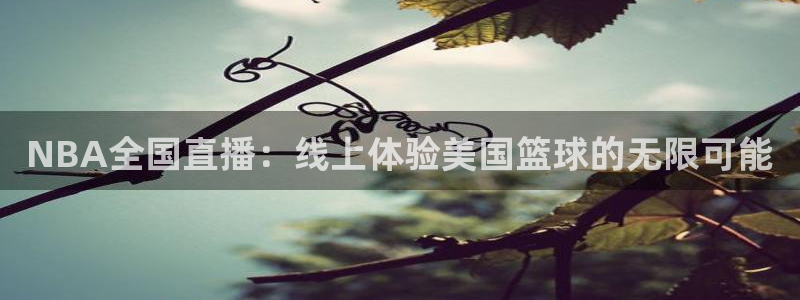 鲸鱼体育nba：NBA全国直播：线上体验美国篮球的无限可能