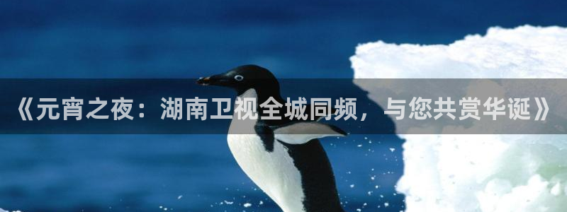 鲸鱼体育在线直播高清：《元宵之夜：湖南卫视全城同频，与您共赏华诞》
