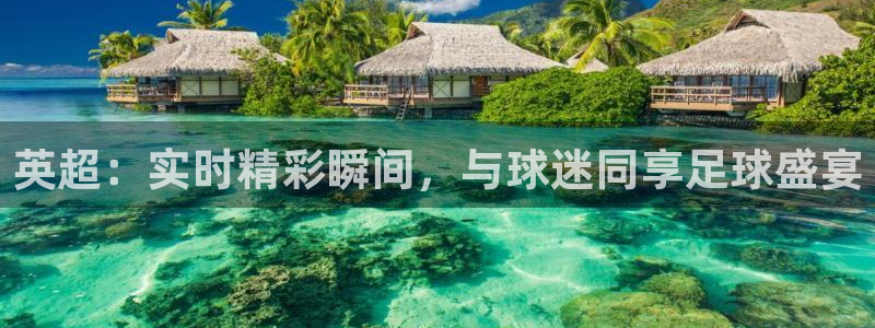 鲸鱼体育免费观看高清：英超：实时精彩瞬间，与球迷同享足球盛宴